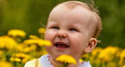 ¿Qué hacer cuando a un niño no le salen los dientes?