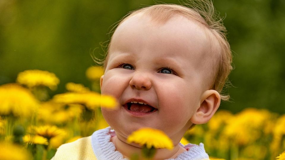 Conoce cuáles con las causas de la aparición tardía de los dientes en tu hijo