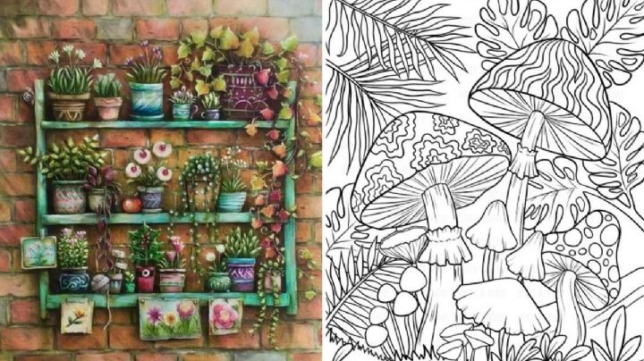 5 fotos de plantas para imprimir y colorear si tienes ansiedad